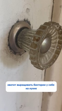 паста: на WB #234577722 Ozon #1664064287