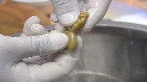 Греческий салат без перца