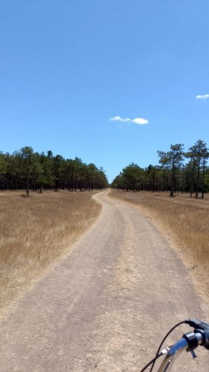 Вело-прогулка по Евпаторийскому лесу от деда Вити.