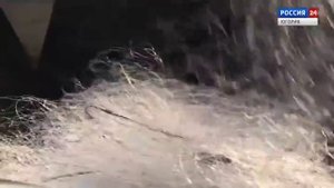 Браконьерам не пройти!