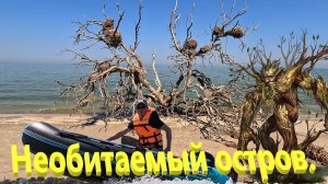 Необитаемый остров. Места скрытые от глаз человека. Азовское море. Ейск.