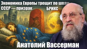 Экономика Европы трещит по швам. СССР — призрак. БРИКС — новое явления мира? Анатолий Вассерман