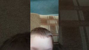 влвиущуоврвsfskehsis18282872287