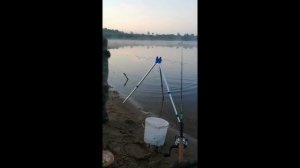 ПОПАЛ НА КЛЁВ СОПЫ. ФИДЕР. РЫБАЛКА С НОЧЕВКОЙ. РЕКА ВЕТЛУГА.