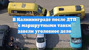 В Калининграде после ДТП с маршрутными такси завели уголовное дело