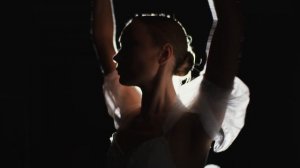 8462195-uhd_4096_2160_25fps