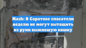 Mash: В Саратове спасатели неделю не могут вытащить из руин выжившую кошку