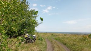 степной зверь завез нас по яблочки