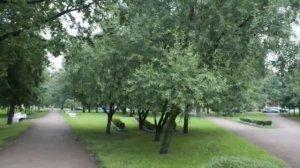 Стихотворение " Шёл Дождь по Петербургу..." Автор Ирина Воробьёва, исполнитель Ингвар Нитомак