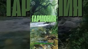 #БлагоВест ✴ ГАРМОНИЯ
