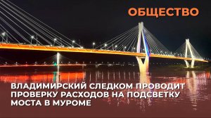 Владимирский Следком проводит проверку расходов на подсветку моста в Муроме