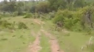 ПОДБОРКА ПРИКОЛОВ 2025 _ ЛУЧШИЕ ПРИКОЛЫ 2025 _ РУССКИЕ ПРИКОЛЫ 2025 _ ТОП ВИДЕО ПРИКОЛЫ 1