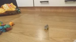 ботботсы и конструктиконы