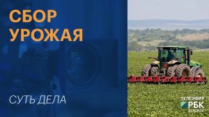 Сбор урожая | СУТЬ ДЕЛА