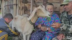 Таким наш хутор вы еще не видели. Впервые ночуем в лесу спустя два года после покупки хутора.