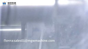 Rotary Transfer Machine for Gas Safty Valve -8 stations 17 spindles