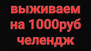 выживаем на 1000 рублей