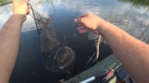 Рыбалка на заросшем пруду с лодки на поплавок.