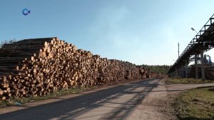 В Управлении Росгвардии Карелии прошли учебные сборы водолазов