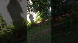 как я играю в футбол