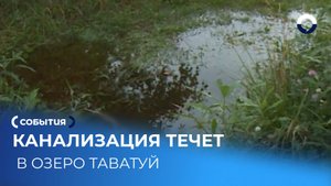 Старая канализация превращает озеро Таватуй в болото
