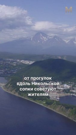 ГЛАВНОЕ ЗА МИНУТУ | 31.07 #камчатка #новости