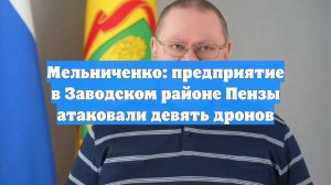 Мельниченко: предприятие в Заводском районе Пензы атаковали девять дронов
