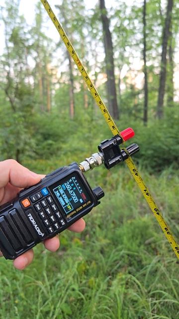 Приём пиратов из Бразилии) смотреть онлайн