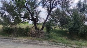 на озере в степном климате Кавказа