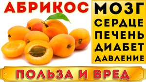 АБРИКОС - ПОЛЬЗА И ВРЕД (НЕ ТОЛЬКО КАК ЕДА. ПОПУЛЯРНЫЙ ФРУКТ С ОСОБЕННЫМИ ХАРАКТЕРИСТИКАМИ)