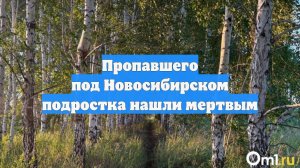 Пропавшего под Новосибирском подростка нашли мертвым