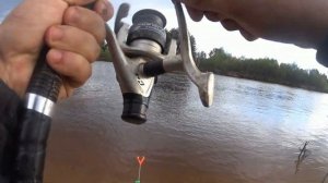 р.Ветлуга.разведка большой воды.фидер с запеска.Лещ, сопа, плотва, елец.