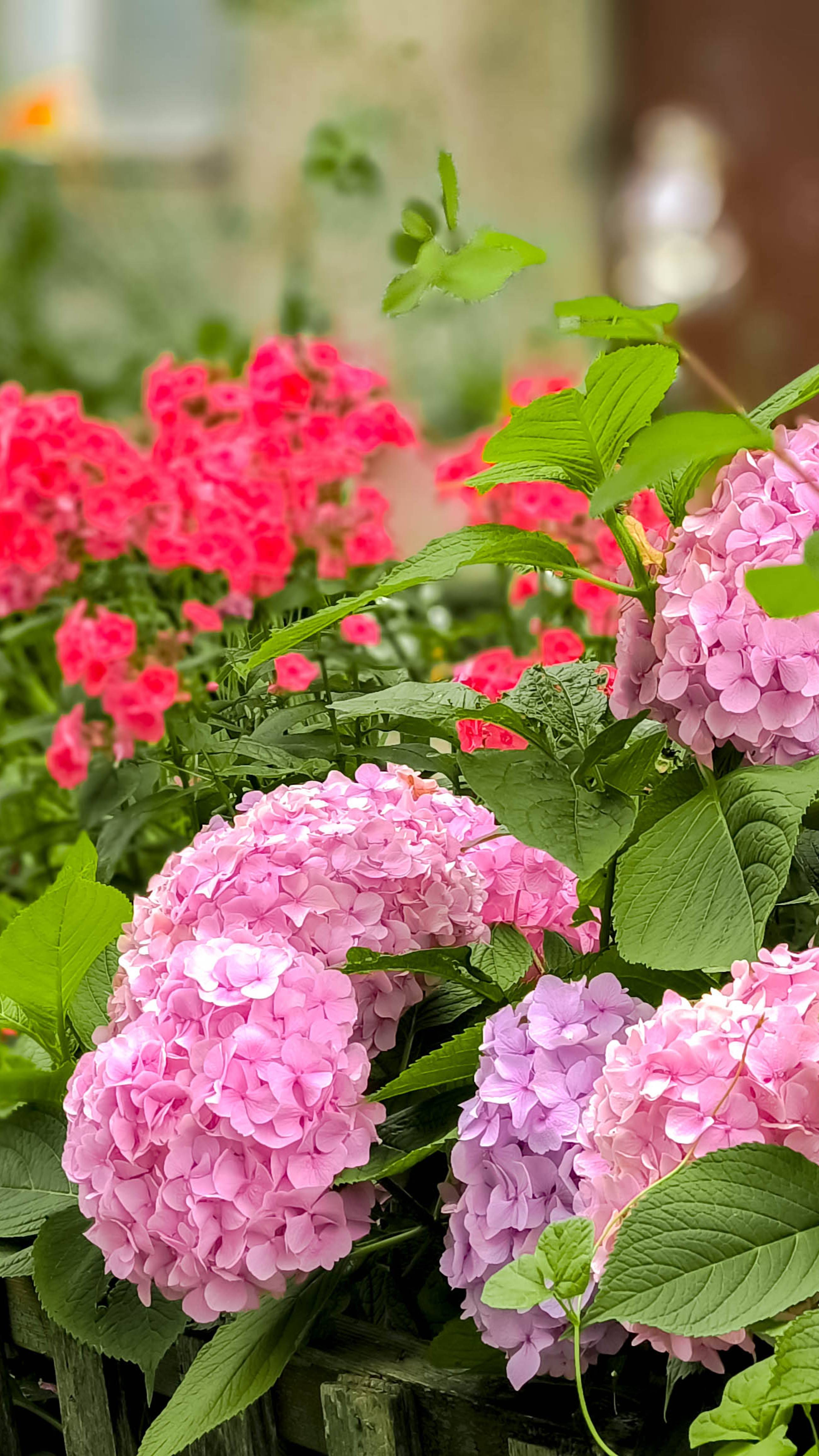 Тихий центр. 2комнатнач квартира. 4/5. Калужская 16-12 смотреть онлайн