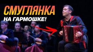 СМУГЛЯНКА — ПЕСНЯ ПОБЕДЫ НА ГАРМОНИ С ОРКЕСТРОМ🔥