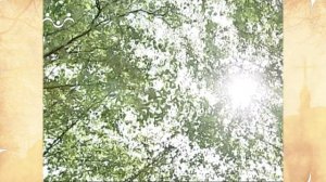 Наставления преподобного Серафима Саровского. О распознавании действий сердечных