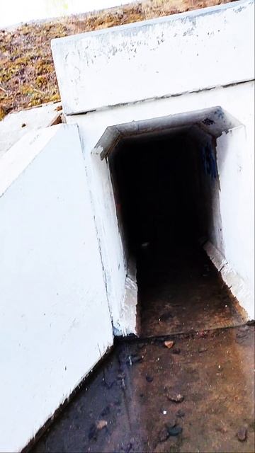 | Я нашёл вход куда-то | Часть 1 | смотреть онлайн