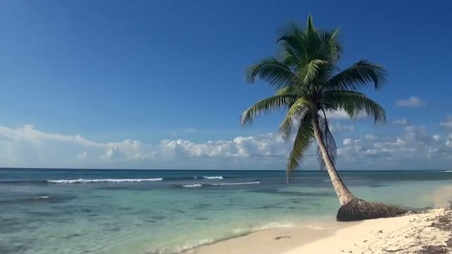 Звуки моря | Тропический пляж | Релакс | Медитация | Спокойный сон