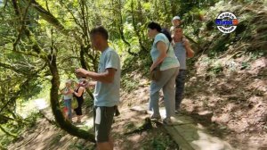 ДЕНЬ БЛОГЕРА В АБХАЗИИ коротко