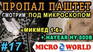 Пропавший паштет (Hayear HY-800B) - MICRO WORLD #17