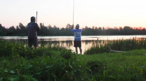 Необычная для меня ловля сазана в Астрахани Спортивная рыбалка на турнире