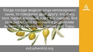 1 августа 2025. Притча об Отце на небесах. Под сенью благодати _ Адвентисты