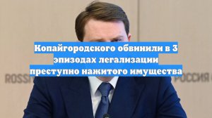Копайгородского обвинили в 3 эпизодах легализации преступно нажитого имущества