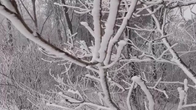 Две девушки путешествуют на машине Jeep с палаткой зимой кемпинг смотреть онлайн