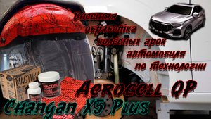 Changan X5 plus/Oshan X5 | Внешняя обработка колёсных арок StP Aerocell QP
