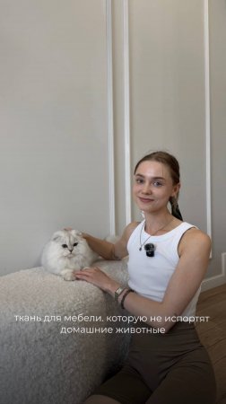 Ткань для мебели с домашними животными