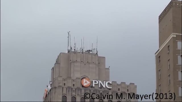 Toledo, OH H.O.R. Super Sirex Siren Test 3-1-13 смотреть онлайн