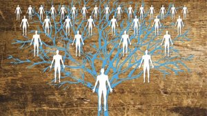 Практика «Родовая система»