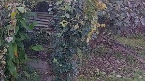 подборка с КАМЕР ВИДЕОНАБЛЮДЕНИЯ за 2021 год