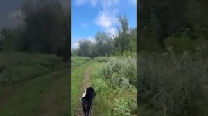 КАК Я НАШЛА ИЗБУ... ВИДЕО ОТ ЗАРИ