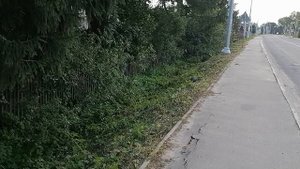 31.07.2025.Линия С. Большое Алексеевское--Гальчино-Барыбино. Домодедово Обзор проводимых и проходящи